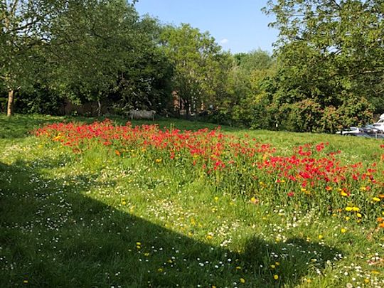 The Morris-sun is shining!