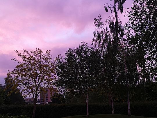 Nightingale Hospital at Excel