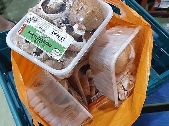 Eggsellently Full Bags - Not Mushroom Left