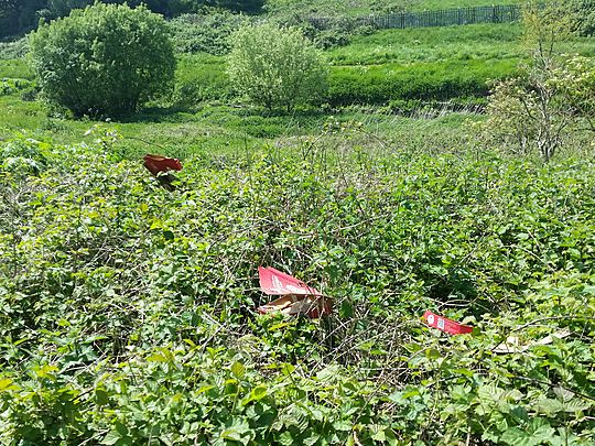 Poo Patrol Pounces on Pizza Party