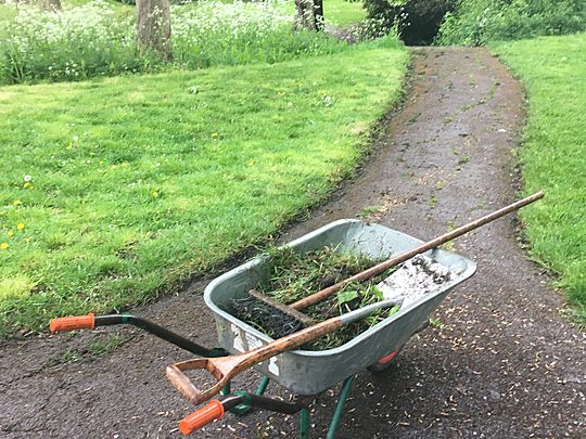 Volunteering at community gardens