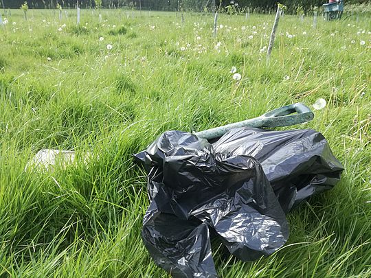 Litter pick and tree mulching 