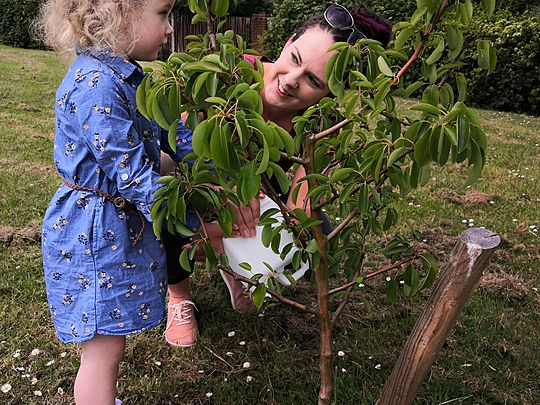 Quenching a TREE-mendous Thirst