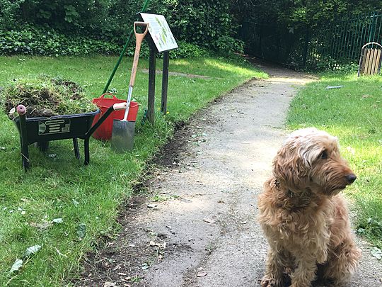 Helping maintain a community park