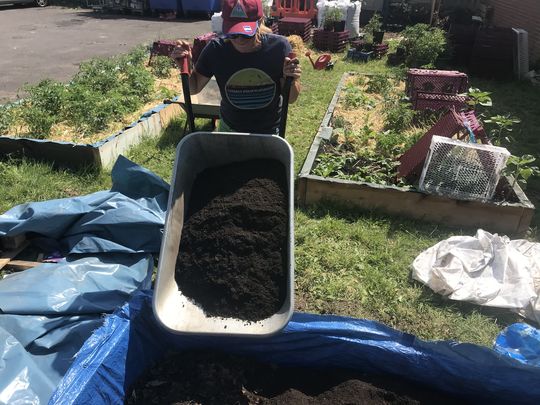 Working on a community garden in 40degree  heat ....this is no pun