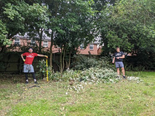 Trimming our Lockdown Bushes