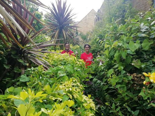 Bumble bees, birds, bin bags and bindweed!