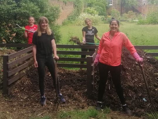 A sanding ovation for these GoodGym Entree-manure