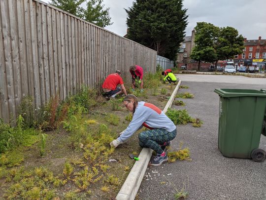 It's Tiber tidy up!