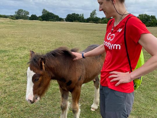 Foaling around