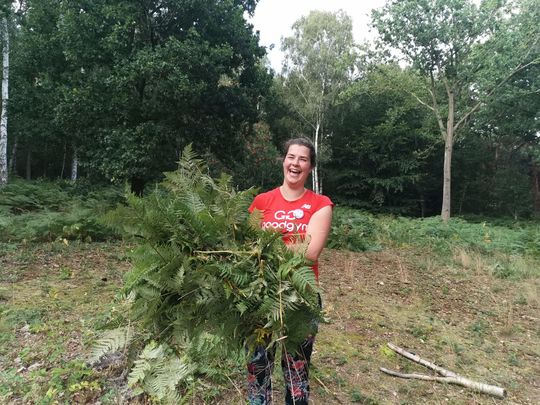 Five go to Mousehold to clear some bracken. 