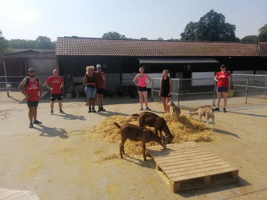 Hot day on the farm🔥... Even the pigs were bacon 😂