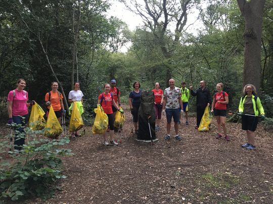 Litter-ally storming through Magdalen Wood