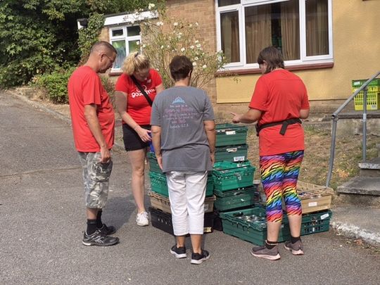 TOMATOES JUST ANOTHER DAY ~ THE BEXLEY FOOD BANK MISHHHHHHH