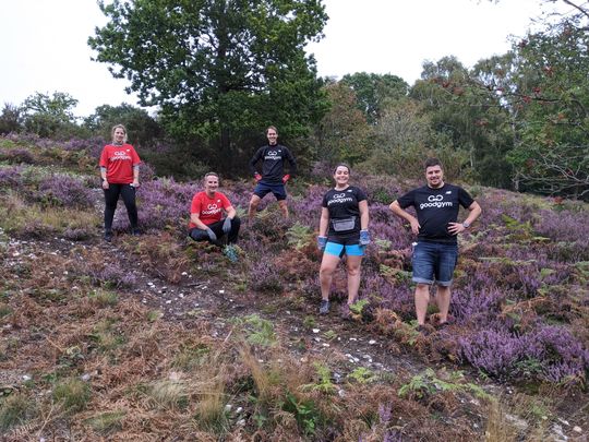 Welcoming the heather 🌿