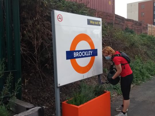 Brockley does it