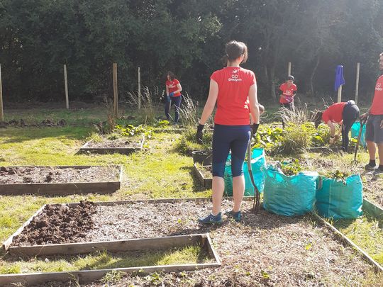 For "Apple Picking" read "Allotment clearing and chicken coup preparing"