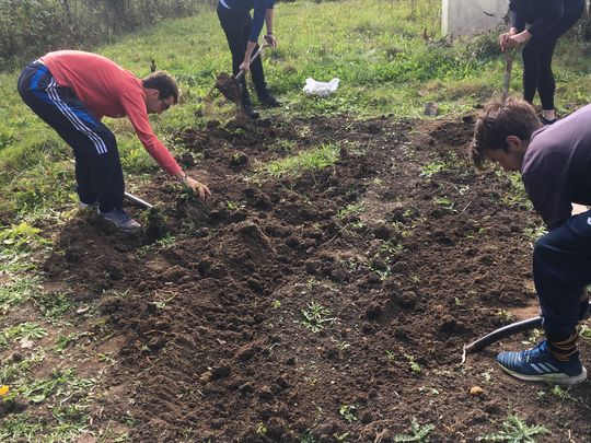 Harvesting was no small potatoes 