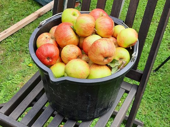 Food delivered to covid sufferer isolating