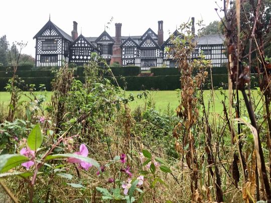 Balsam Bashing at Bramhall