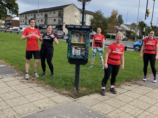 Alwoodley Little Libraries 