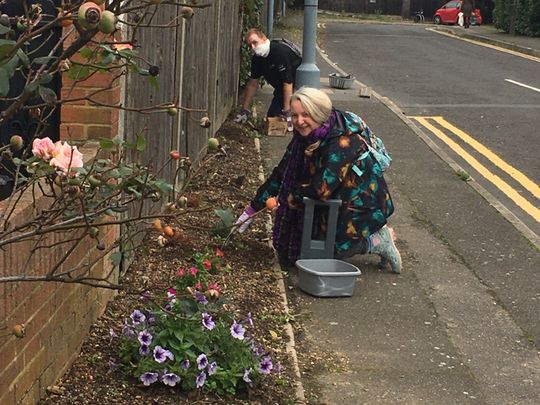 Blooming Bernards Close