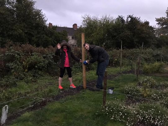 A Berry Great Evening Can't Be Ruined By A Weed Bit Of Darkness 