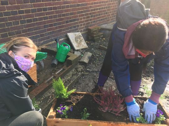 Hardworking Horticultural Hoopla at Hainault