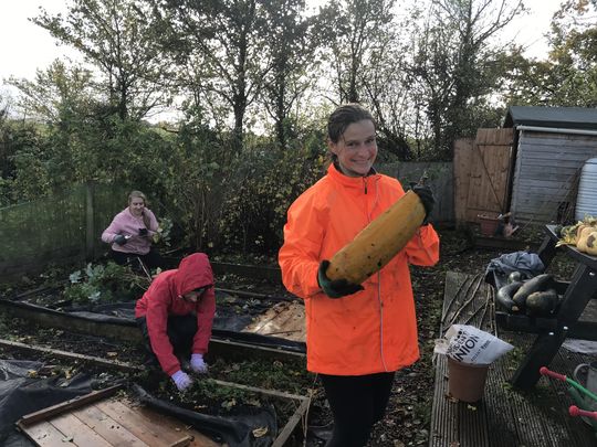 Pumpkin it up at Exminster School Allotment!