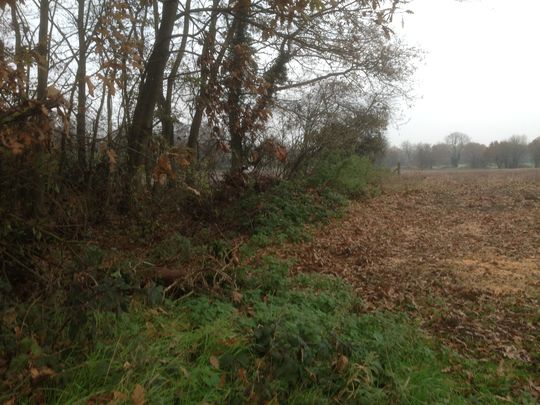 Niffy, muddy, damp Norfolk November day for litterpicking