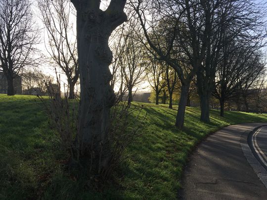 A Hilly Fields Advent-ure 