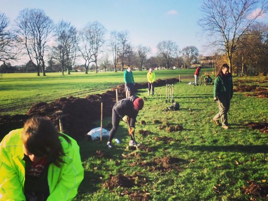 Lean, green planting tree machines