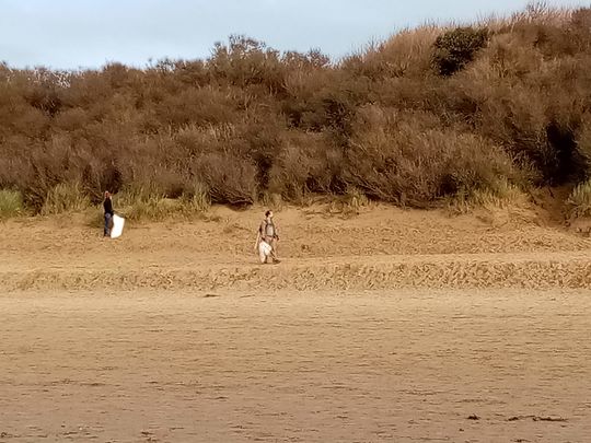 A beach clean-up....quite Litter-ally!