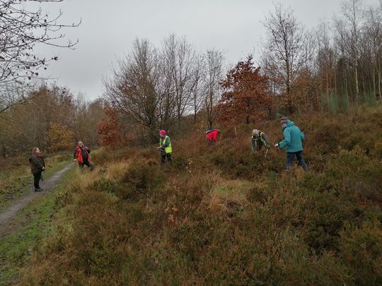 Heathland maintenance