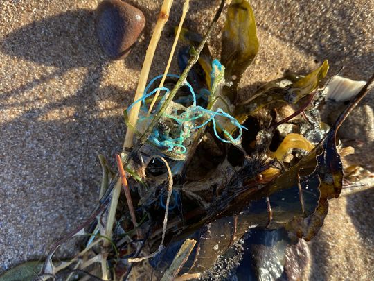 Exmouth Beach Clean