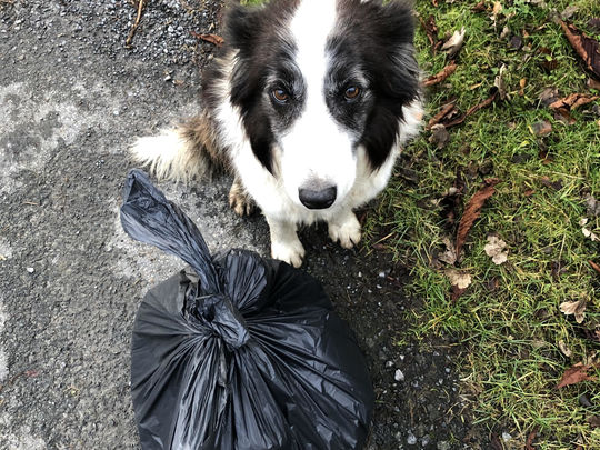 Litter Pick Relay