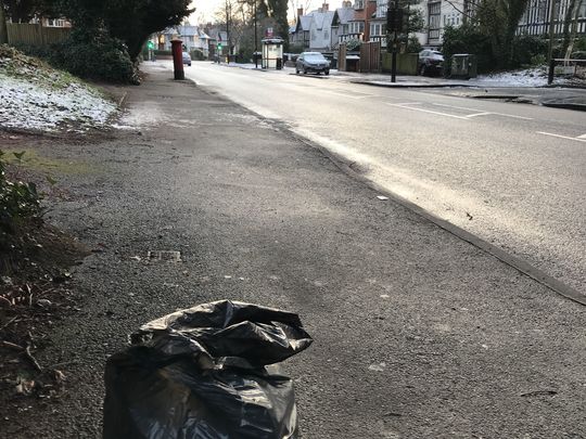 Little Local Litterpick 