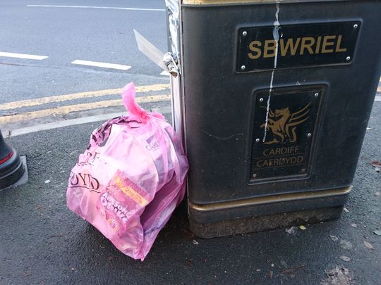 It was a relay nice day for a litter pick