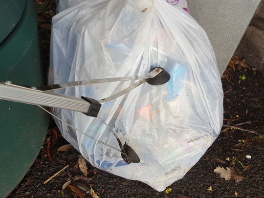 Local Litter Pick