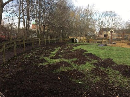 Wind Molehill Farm