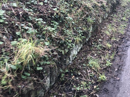 Cleaning up the cycle path