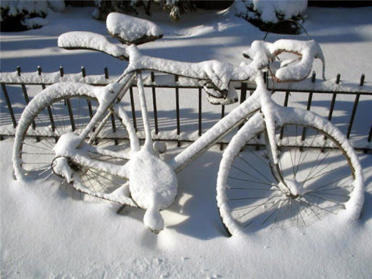 Icicle cycle: Hungry no more