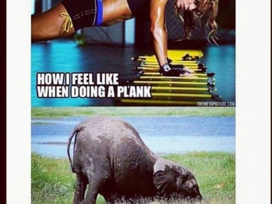 A PLANK A DAY - LETS MAKE HAY WHILST THE SUN SHINES 