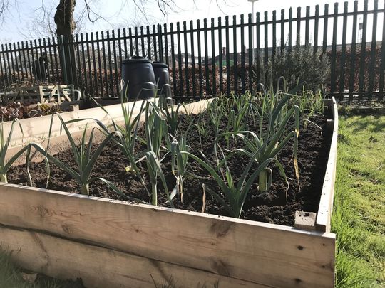 Lifting the veg for housebound meal deliveries 