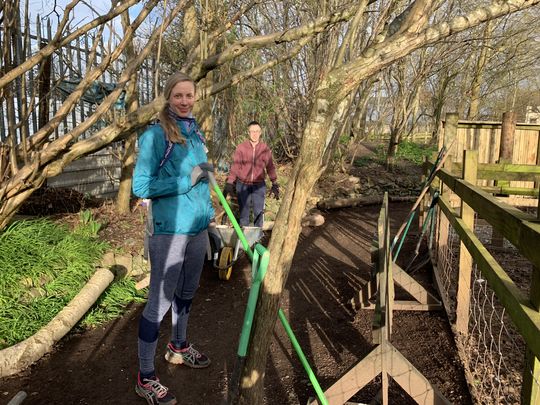 Tidying the path around middle paddock