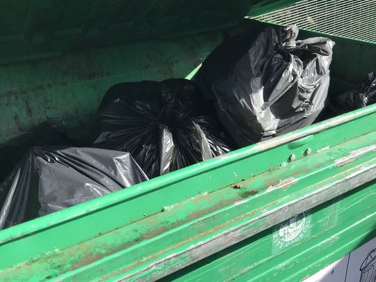 Tired - wheelie bin busy with double deed