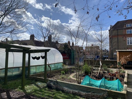 Lettuce rejoice in the garden