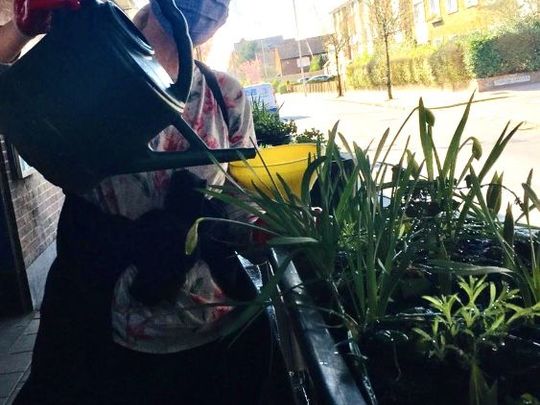 Water Planters At Hainault Station