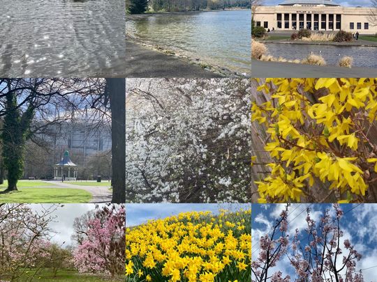 The Great Spring Collage