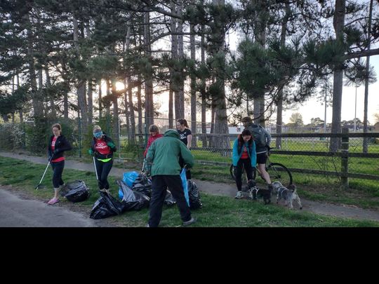 Four Seasons in one Litterpick